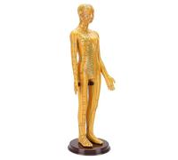 Fockety Acupuncture Model, 52cm Full Body Precise Acupoint Positioning High Definition Engraving Acupoint Mannequin, Meridian Chart Model with Base and Illustrated Manual for Students (Woman)