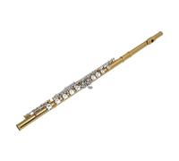 Fockety C Flute, Closed Hole 16 Keys Flute with Carrying Case, Stand, Gloves, Cleaning Kit & Tuning Rod, Professional Instrument for Beginner, Kids, Student, School Orchestra Band
