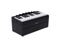 Fockety Electric Piano Keyboard, 25 Key BT Rechargeable Portable Digital Keyboard Piano with 52 World Famous Songs 8 Instrument Modes LED Lights, Calendar for Home Desk Dec (Black)
