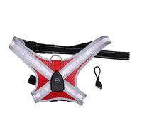 Fockety Light Up Dog Harness, LED Dog Harness with Adjustable Fit Built in Leash Ring, Steady Dynamic Lights Glow in the Dark Safety Vest for Night Walking Jogging Hiking Outdoor (Red)