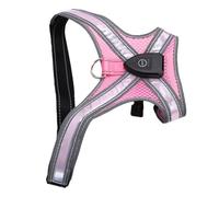 Fockety Light Up Dog Harness, LED Dog Harness with Adjustable Fit Built in Leash Ring, Steady Dynamic Lights Glow in the Dark Safety Vest for Night Walking Jogging Hiking Outdoor (Pink)