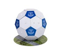 FOCO EVERTON FC PZLZ FOOTBALL WH