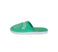 FOCO Football Premier League Champions FC Celtic Best Dad Slippers Footwear