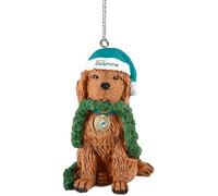 FOCO Miami Dolphins Dog Holiday Ornament