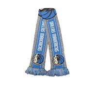FOCO NBA Dallas Mavericks Unisex Gray Big Logo Scarf, Team Color, One Size