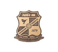 FOCO Official Swindon Town FC Bronze Effect Football Crest Wall Sign