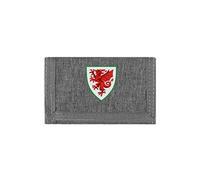 FOCO Officially Licenced Wales Grey Wallet