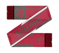 FOCO Tampa Bay Buccaneers NFL Colourwave Scarf - Stück