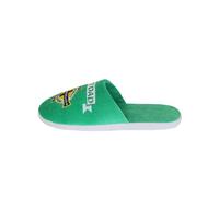 FOCO World Cup Euros Northern Ireland Fan Best Dad Slippers - Mens 6/7
