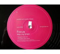 FOCUS Into My Brain 12"