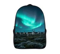 FodPand 18L Reindeer_aurora Laptop Backpack Adults 16" Lightweight Carry on Backpack for Travel Flight Waterproof Casual Daypack Work Bussiness Computer Bag for Office Commute Outdoor Sports