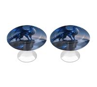 FodPand 2-Pack 1.1" Round Cabinet Knobs Stainless Steel Drawer Knobs with 2 Screws, Cool Blue Dragon Cabinet Handles for Drawers, Dresser, Kitchen Hardware | Easy Install