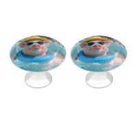 FodPand 2-Pack 1.1" Round Cabinet Knobs Stainless Steel Drawer Knobs with 2 Screws, Cute Pig Swimming Cabinet Handles for Drawers, Dresser, Kitchen Hardware | Easy Install