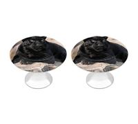 FodPand 2-Pack Cabinet Handles - Animal Panther 1.1 Inch Round Stainless Steel Cabinet Pulls, Knobs Pulls with Screws, Silver Hardware for Kitchen Cabinets, Furniture Doors, & Dressers