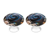 FodPand 2-Pack Cabinet Handles - Blue-Ringed Octopus 1.1 Inch Round Stainless Steel Cabinet Pulls, Knobs Pulls with Screws, Silver Hardware for Kitchen Cabinets, Furniture Doors, & Dressers