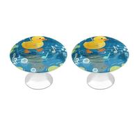 FodPand 2-Pack Cabinet Handles - Duckling on Raindrop Notes 1.1 Inch Round Stainless Steel Cabinet Pulls, Knobs Pulls with Screws, Silver Hardware for Kitchen Cabinets, Furniture Doors, & Dressers