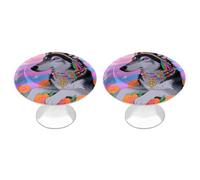 FodPand 2-Pack Cabinet Handles - Hippie Wolf 1.1 Inch Round Stainless Steel Cabinet Pulls, Knobs Pulls with Screws, Silver Hardware for Kitchen Cabinets, Furniture Doors, & Dressers