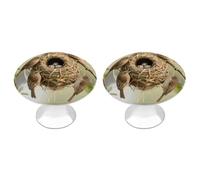 FodPand 2-Pack Cabinet Handles - Weaverbird Nest 1.1 Inch Round Stainless Steel Cabinet Pulls, Knobs Pulls with Screws, Silver Hardware for Kitchen Cabinets, Furniture Doors, & Dressers