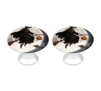 FodPand 2-Pack Cabinet Handles - Witch Broom Flight 1.1 Inch Round Stainless Steel Cabinet Pulls, Knobs Pulls with Screws, Silver Hardware for Kitchen Cabinets, Furniture Doors, & Dressers