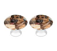 FodPand 2 Pack Cabinet Knobs 1.1 Inch Single Hole Drawer Pulls Handles Decorative Funny German Shepherd Furniture Knobs for Dresser Kitchen Bathroom Cupboard Wardrobe Vanity Closet Door Hardware
