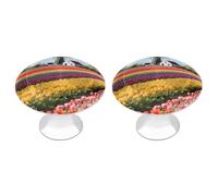 FodPand 2 Pack Cabinet Knobs 1.1 Inch Single Hole Drawer Pulls Handles Decorative Tulip Rainbow Field Furniture Knobs for Dresser Kitchen Bathroom Cupboard Wardrobe Vanity Closet Door Hardware