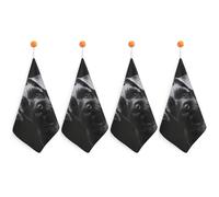 FodPand 4PCS Microfiber Hand Towels, 11x11 Inch Quick Drying & Highly Absorbent Black Schnauzer Dog Kitchen Towel with Hanging Loop, Lint Free Dish Towels for Bathroom & Kitchen