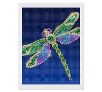 FodPand 5D Diamond Painting Kit for Adults Green Beauty Dragonfly DIY Diamond Art with Sparkling Gems Round Drill - Complete Set Paintings for Beginners, Unique Wall Decor Gift 12"x16"