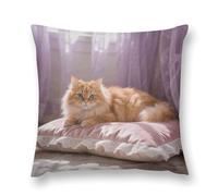 FodPand Cat on Pillow Throw Pillow Covers 18 "x18 Decorative Plush Pillowcase with Hidden Zipper Double-Sided Boho Farmhouse Cushion Case for Sofa Bed Chair, Holiday Decor, Home Gift