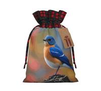 FodPand Christmas Gift Bag with Tags Xmas Gift Wrapping Bags Reusable Drawstring Bags Eastern Bluebird Xmas Santa Sack Christmas Party Favor Pouch Small Goody Bag for Holiday Supplies Medium