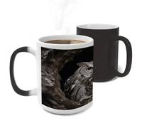 FodPand Color Changing Mugs Owl at The Cave Entrance Heat Sensitive Ceramic Coffee Mugs Funny Temperature Changing Mug Novelty Magic Cup Gift for Coffee Lover 11 Oz
