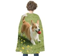 FodPand Corgi Halloween Cloak Cosplay Costumes for Adults | Soft Satin Cape Poncho, Wizard/Witch/Vampire/Knight/Royal Roleplay, Spooky Party Favor, Trick or Treat Essential Accessories