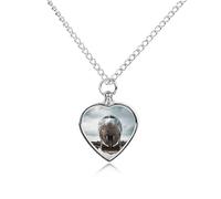 FodPand Custom Airplane Art Urn Necklaces for Dog Cat Human Ashes 27.6" Cable Chain Memorial Heart Pendant Necklace with Filling Kit Pet Cremation Jewelry Keepsake Sympathy Gifts