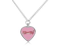 FodPand Custom Cheetah Urn Necklaces for Ashes Memorial Pet Necklace with Filling Kit Adjustable 27.6" Chain Funerary Cremation Jewelry Keepsake Heart Pendant for Beloved Dogs & Cats