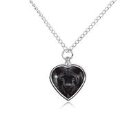 FodPand Custom Cute Panther Urn Necklaces for Dog Cat Human Ashes 27.6" Cable Chain Memorial Heart Pendant Necklace with Filling Kit Pet Cremation Jewelry Keepsake Sympathy Gifts