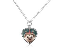 FodPand Custom Small Crown Urn Necklaces for Ashes Memorial Pet Necklace with Filling Kit Adjustable 27.6" Chain Funerary Cremation Jewelry Keepsake Heart Pendant for Beloved Dogs & Cats