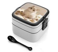 FodPand Cute Cat Bento Box,2 Stackable Bento Lunch Containers Lunchable Food Container with Utensil Adult Lunch Box for Dining Out, Work, Picnic