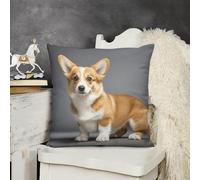 FodPand Decorative Corgi Dog Throw Pillow Covers 18x18 Soft Plush Cozy Cushion Cases with Invisible Zipper Body Pillowcase Square Accent Pillow Shams for Couch Sofa Bedroom Living Room