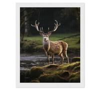 FodPand Deer Nature Diamond Painting Kits for Adults Beginners 5D Round Drill Diamond Art Kits with DIY Tools Gem Art Crafts for Home Wall Decor Living Room Bedroom Office Decoration 16x20