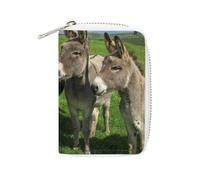 FodPand Donkey on Green Meadow Credit Card Holder Compact Leather Card Wallet Zipper Portable Id Purse 20 Cards Slots