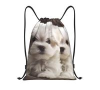 FodPand Drawstring Backpack Bag Cute Maltese Puppy Sports Gym Sackpack for Men & Women, Waterproof Cinch Bags for Travel, Black, S, Travel Backpacks