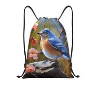FodPand Eastern Bluebird Drawstring Backpack Sports Gym Sackpack Waterproof Swim Bag Men Women Draw String Bag, Black, S