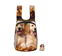 FodPand Golden Retriever Dogs Puppies Pets Travel Backpack 16l Lightweight Foldable Hiking Daypack Waterproof Travel Rucksack For Women Men