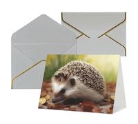 FodPand Greeting Cards with Envelopes Birthday Cards 4.5 x 6 inch Half-Fold Encouragement Card,Funny Postcards hedgehog Blank Note Card Invitation Cardstock for All Occasions