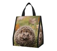 FodPand Hedgehog Insulated Lunch Bag with Pocket Leakproof Cooler Bags Reusable Cooler Tote Foldable Lunch Tote for Women Men for Work Travel Picnic 9L