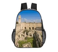 FodPand Israel at The Tower of David 17 Inch Clear Backpack Large Heavy Duty, Clear Bag for Stadium Events, See Through Backpack Transparent PVC Or Work, Sporting Events And Gym