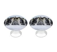 FodPand Kitchen Cabinet Knobs 2 Pack 1.1 Inch Drawer Knobs with Screws Single Hole Emperor Penguin Huddle Dresser Handles Stainless Steel Hardware for Bathroom Cupboard Furniture Closet Wardrobe Door