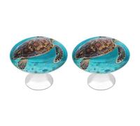 FodPand Kitchen Cabinet Knobs 2 Pack 1.1 Inch Drawer Knobs with Screws Single Hole Sea Turtle Dresser Handles Stainless Steel Hardware for Bathroom Cupboard Furniture Closet Wardrobe Door