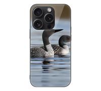FodPand Loon Birds Phone Case for iPhone 15 Tempered Glass Hard Phone Protective Cover Anti-Scratch Shockproof Minimalist Aesthetic Case for Women & Men Black
