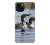 FodPand Loon Birds Phone Case for iPhone 15 Tempered Glass Hard Phone Protective Cover Anti-Scratch Shockproof Minimalist Aesthetic Case for Women & Men Black