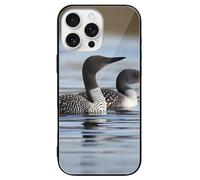 FodPand Loon Birds Phone Case for iPhone 16 Tempered Glass Hard Phone Protective Cover Anti-Scratch Shockproof Minimalist Aesthetic Case for Women & Men Black